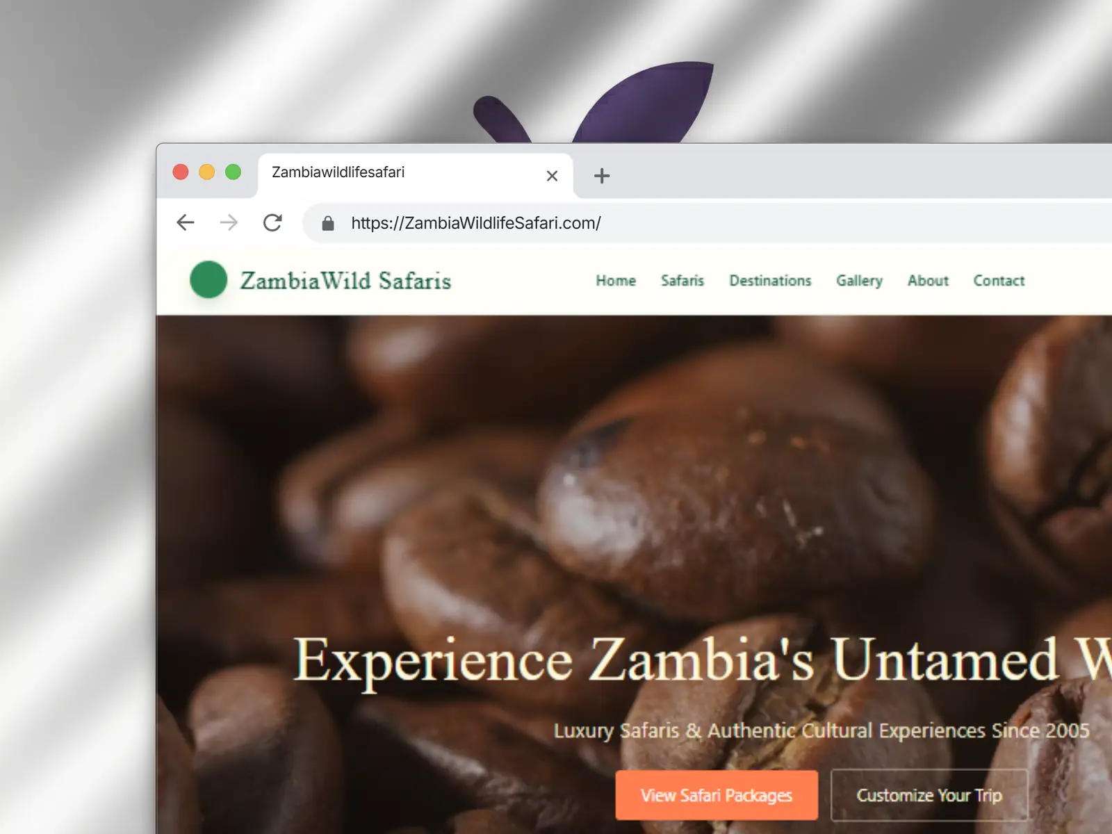 Zambia Wildlife Safari booking section
