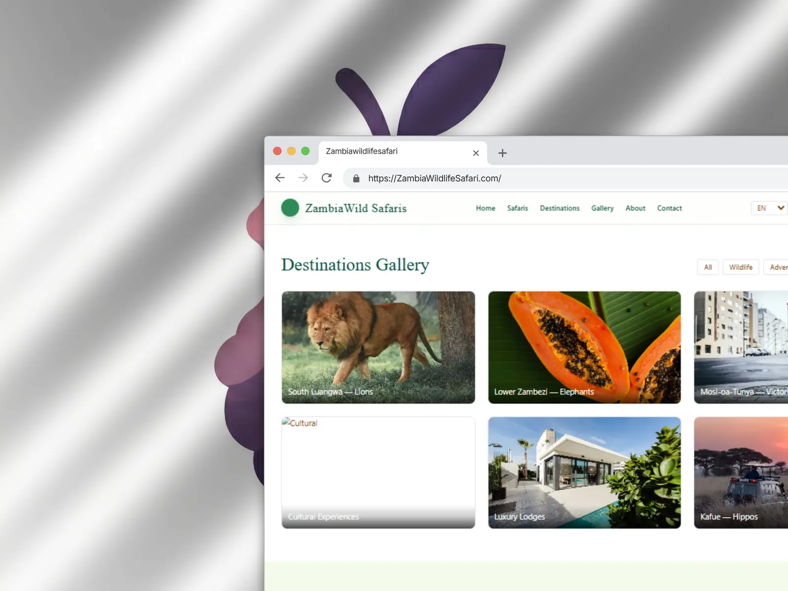 Zambia Wildlife Safari site screenshot